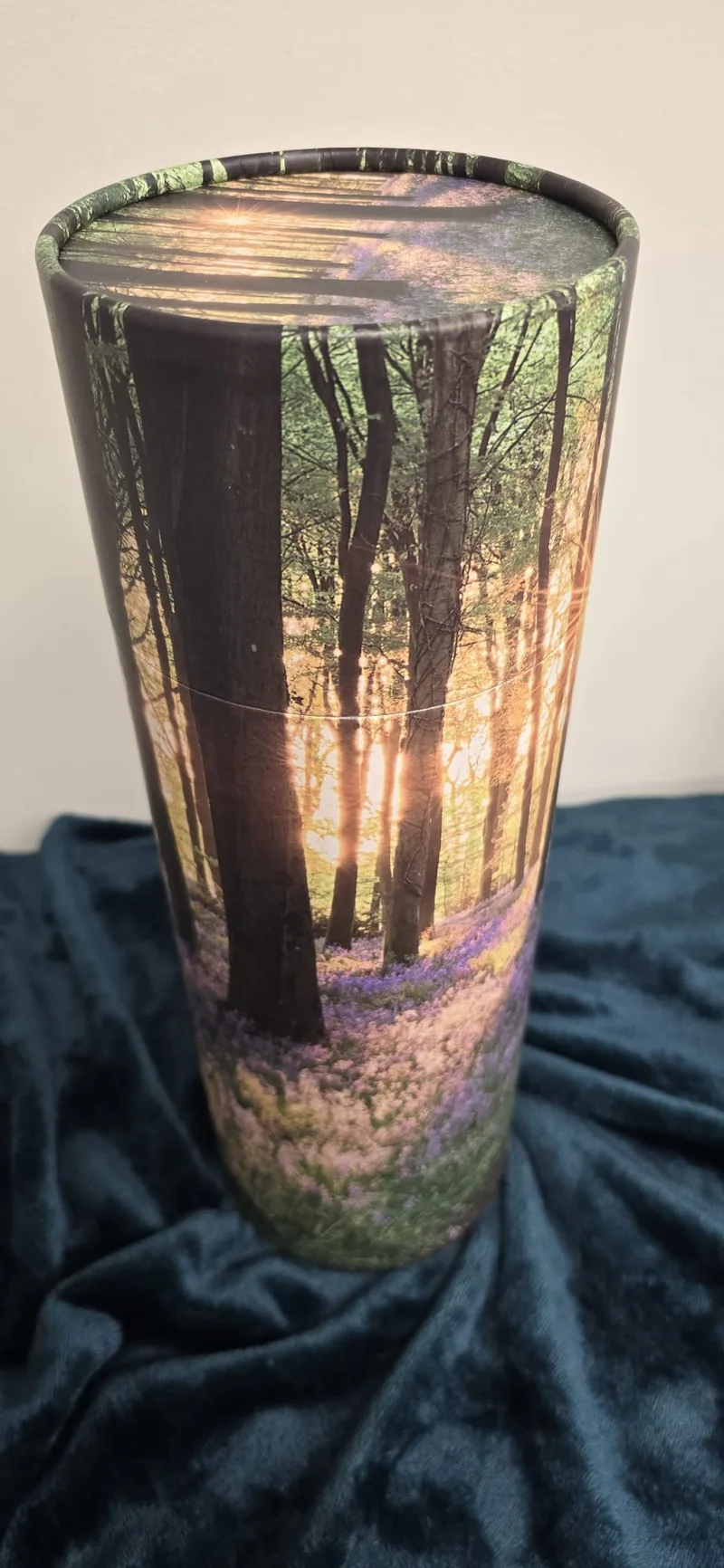 Bluebell woodland
