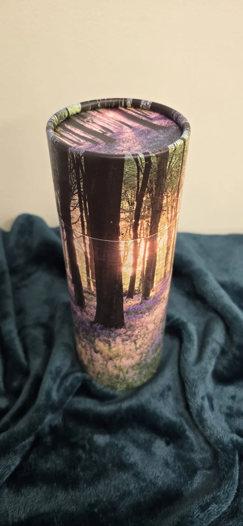 Woodland at sunset