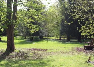 Open grassland within Michael&rsquo;s Wood, with mature trees and graves set among them